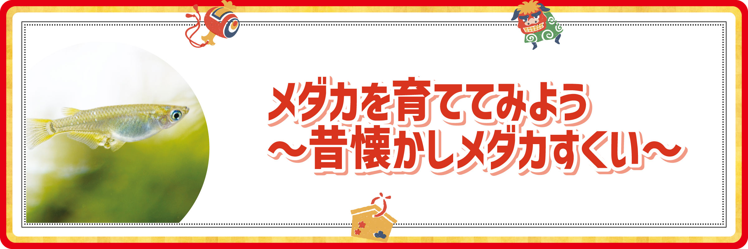 1 15 日 メダカを育ててみよう 昔懐かしメダカすくい